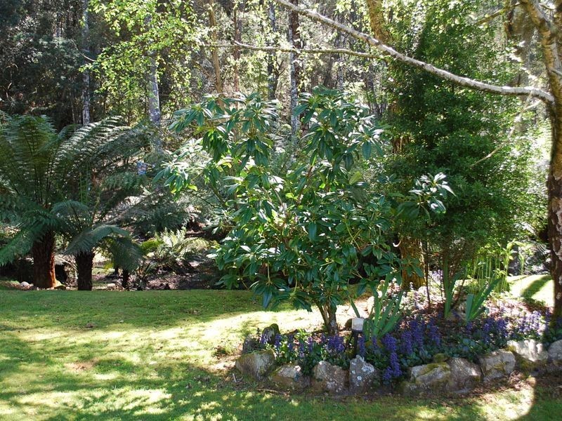 183 Ingleford Road, Calder TAS 7325