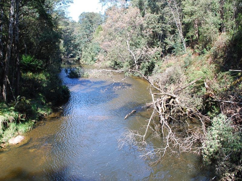 183 Ingleford Road, Calder TAS 7325