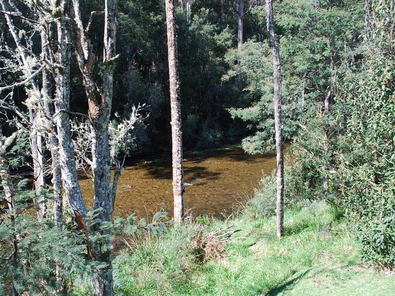 183 Ingleford Road, Calder TAS 7325