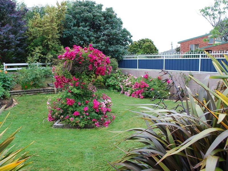 74a Jackson Street, Wynyard TAS 7325