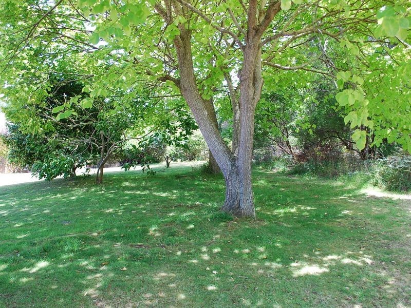 5 Gibbons Street, Wynyard TAS 7325