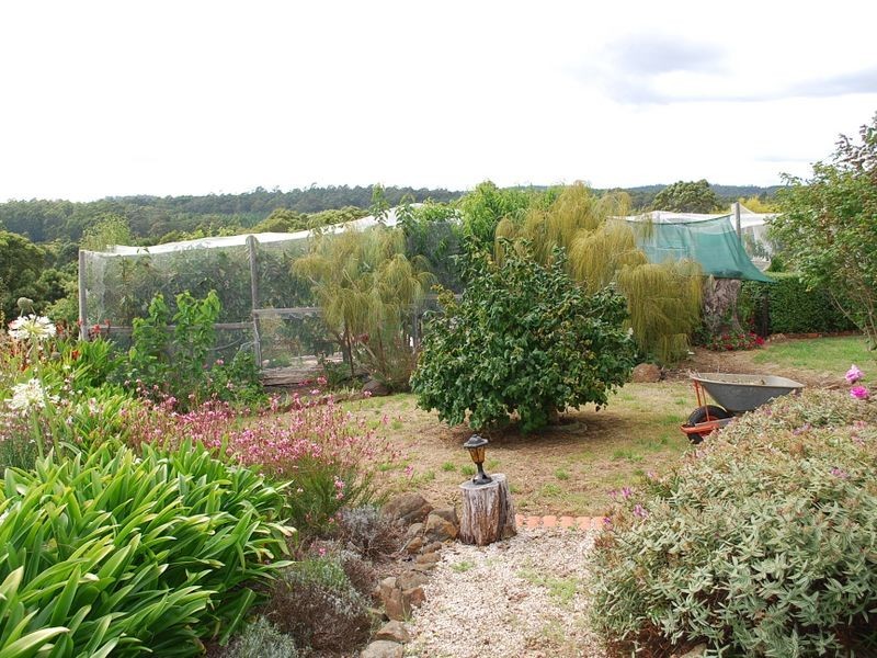 699 Calder Road, Calder TAS 7325