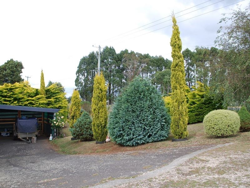 699 Calder Road, Calder TAS 7325