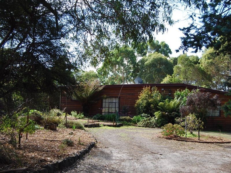 37 Pebbly Road, Black River TAS 7321