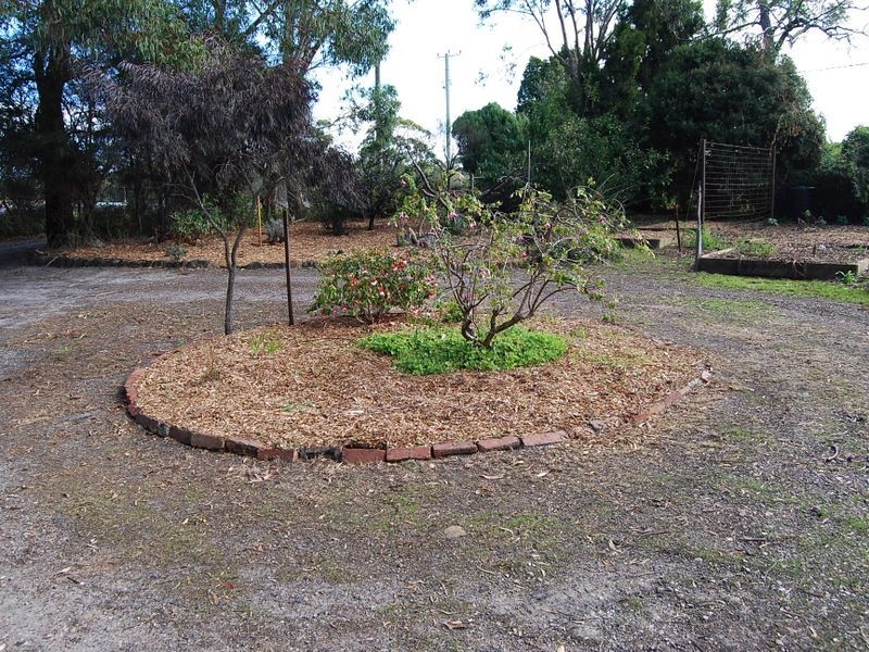 37 Pebbly Road, Black River TAS 7321