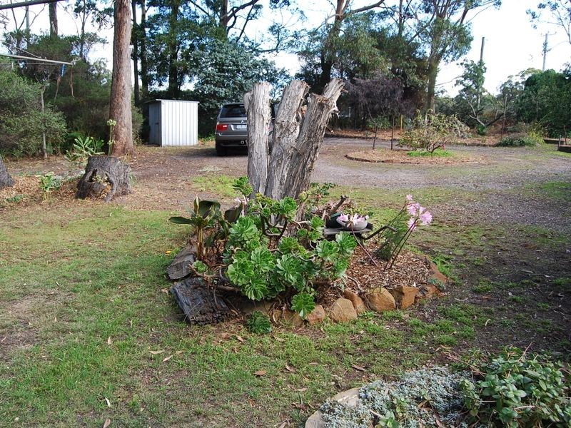 37 Pebbly Road, Black River TAS 7321