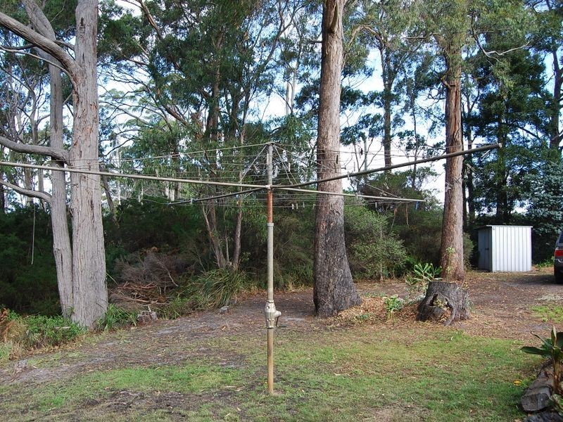 37 Pebbly Road, Black River TAS 7321