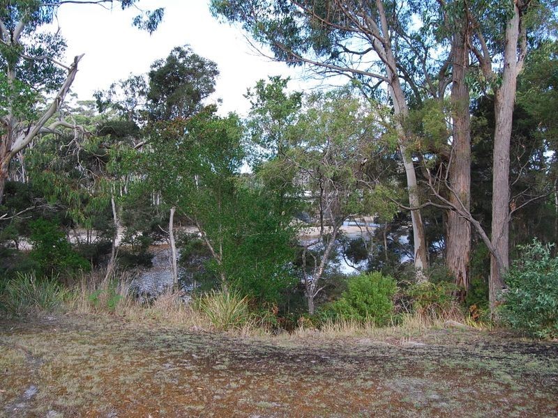 37 Pebbly Road, Black River TAS 7321