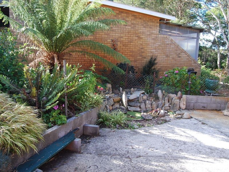 37 Pebbly Road, Black River TAS 7321