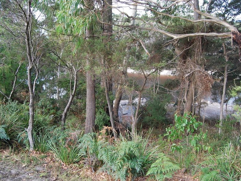 37 Pebbly Road, Black River TAS 7321