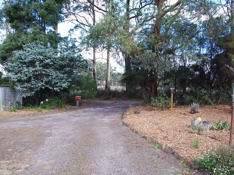 37 Pebbly Road, Black River TAS 7321