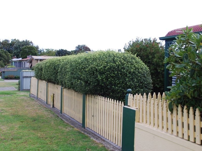 16 Bowick Street, Wynyard TAS 7325