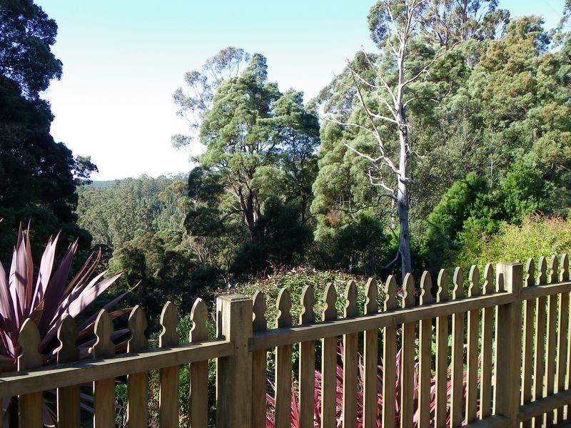 53 Locketts Road, Oldina TAS 7325