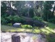 53 Locketts Road, Oldina TAS 7325