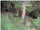 18 Andrew Street, Strahan TAS 7468