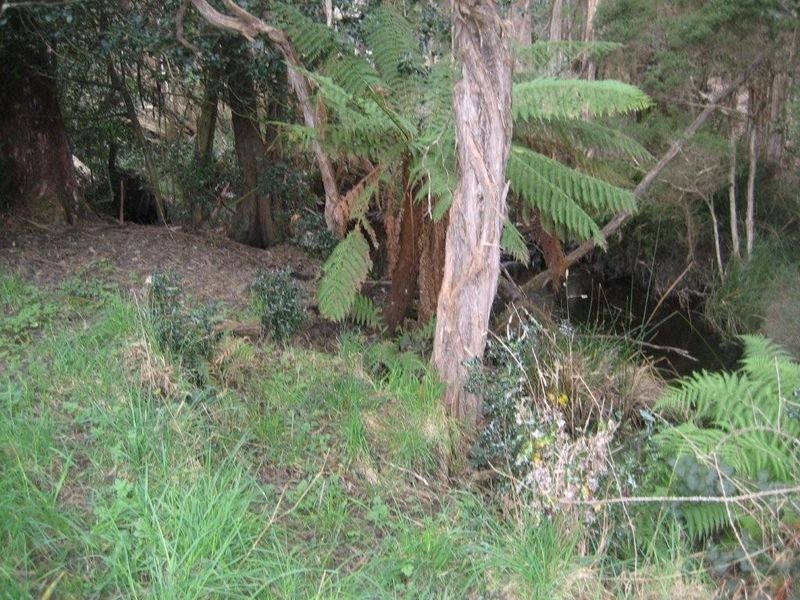 18 Andrew Street, Strahan TAS 7468