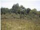 2 Reid Street, Strahan TAS 7468