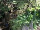 641 Takone Road, Takone TAS 7325