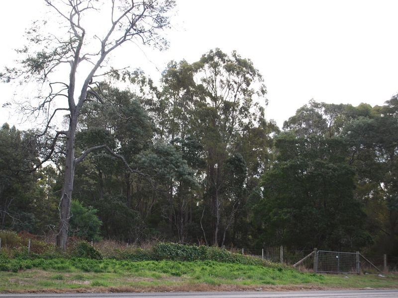 0 Back Cam Road, Somerset TAS 7322