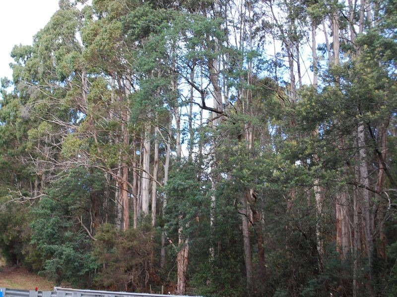 0 Back Cam Road, Somerset TAS 7322