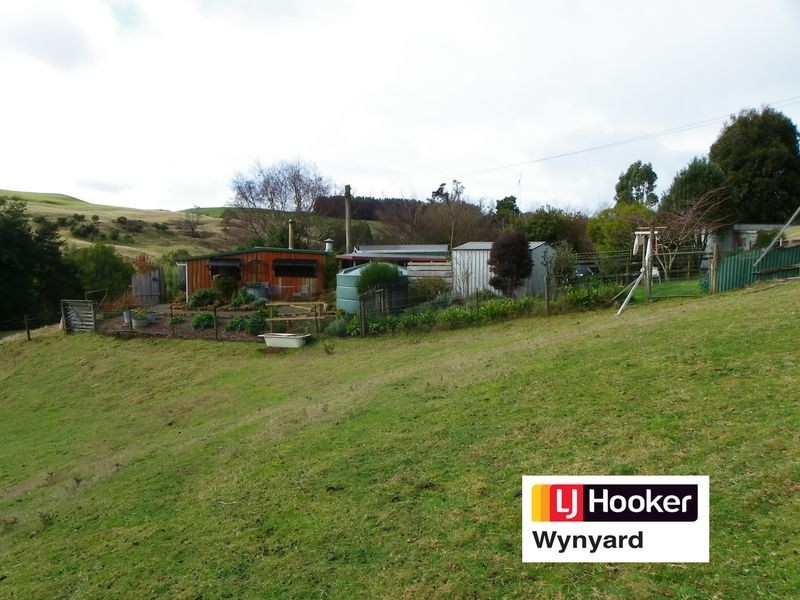 98 Lowries Road, Oldina TAS 7325