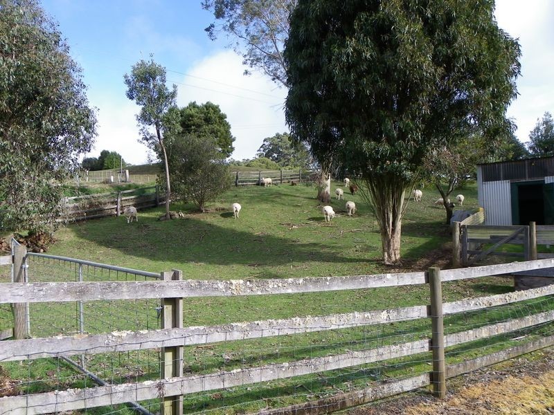 98 Lowries Road, Oldina TAS 7325