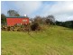 98 Lowries Road, Oldina TAS 7325