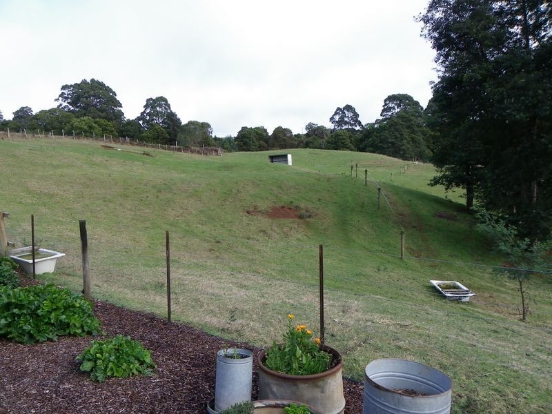 98 Lowries Road, Oldina TAS 7325