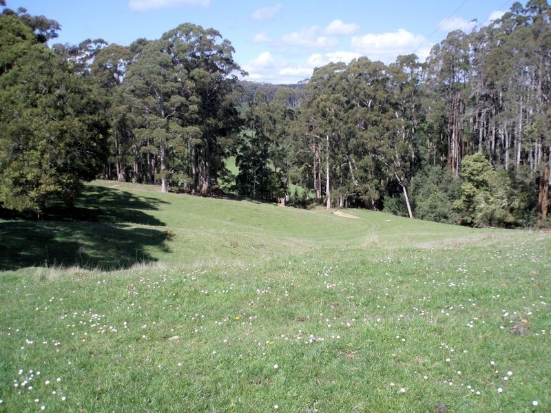 231 Calder Road, Wynyard TAS 7325