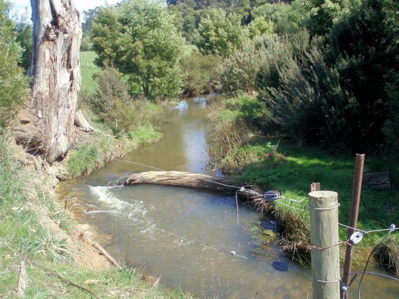 231 Calder Road, Wynyard TAS 7325