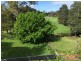 Lot 1/1 Kingsmill Street, Wynyard TAS 7325