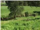 Lot 1 18 Wilkinson Street, Wynyard TAS 7325