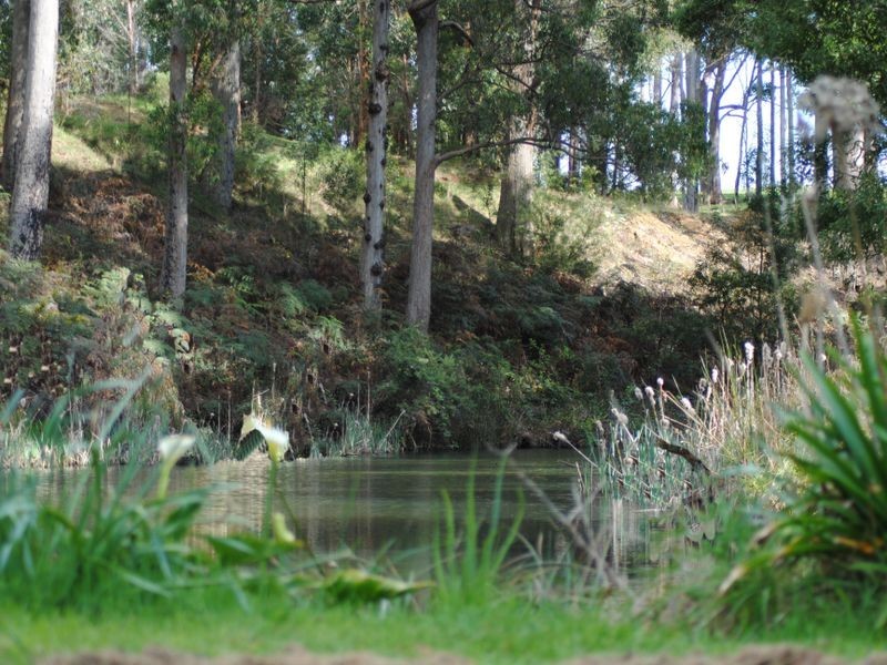 80 Haywoods Lane, Somerset TAS 7322