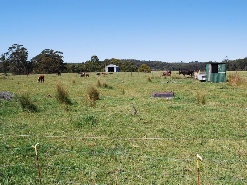 59 Emerald Vale Road, Wynyard TAS 7325