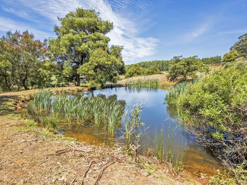 15 Baulds Hill Road, Oldina TAS 7325