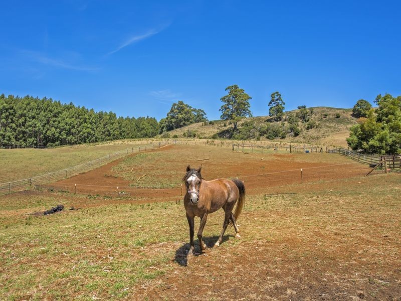 15 Baulds Hill Road, Oldina TAS 7325