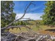 15 Baulds Hill Road, Oldina TAS 7325