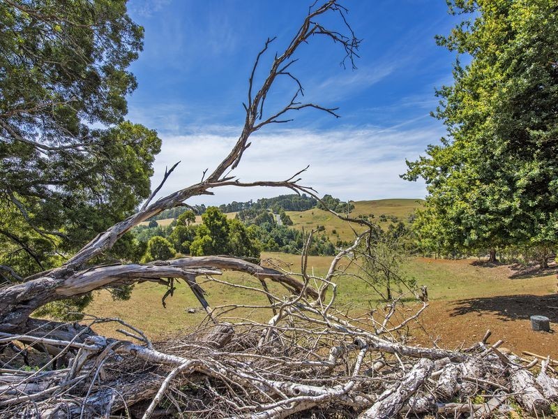 15 Baulds Hill Road, Oldina TAS 7325