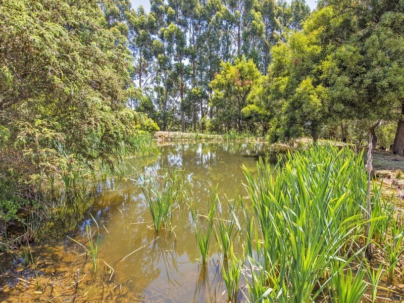 15 Baulds Hill Road, Oldina TAS 7325