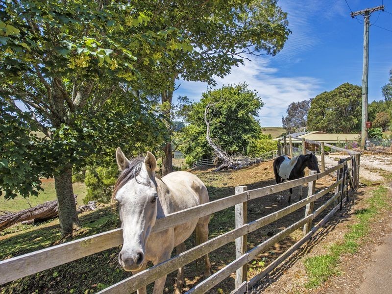 15 Baulds Hill Road, Oldina TAS 7325
