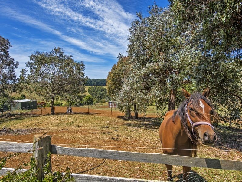 15 Baulds Hill Road, Oldina TAS 7325