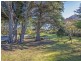 2333 Preolenna Road, Preolenna TAS 7325