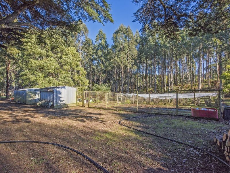 2333 Preolenna Road, Preolenna TAS 7325