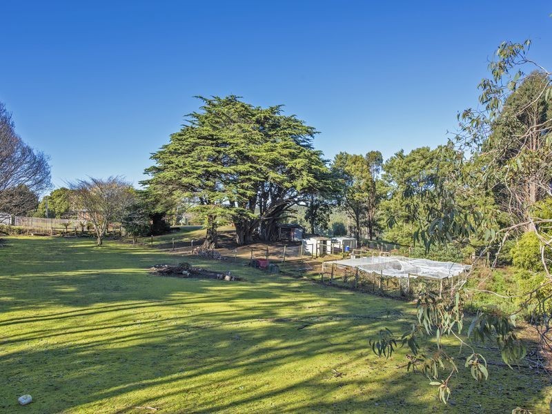 2333 Preolenna Road, Preolenna TAS 7325