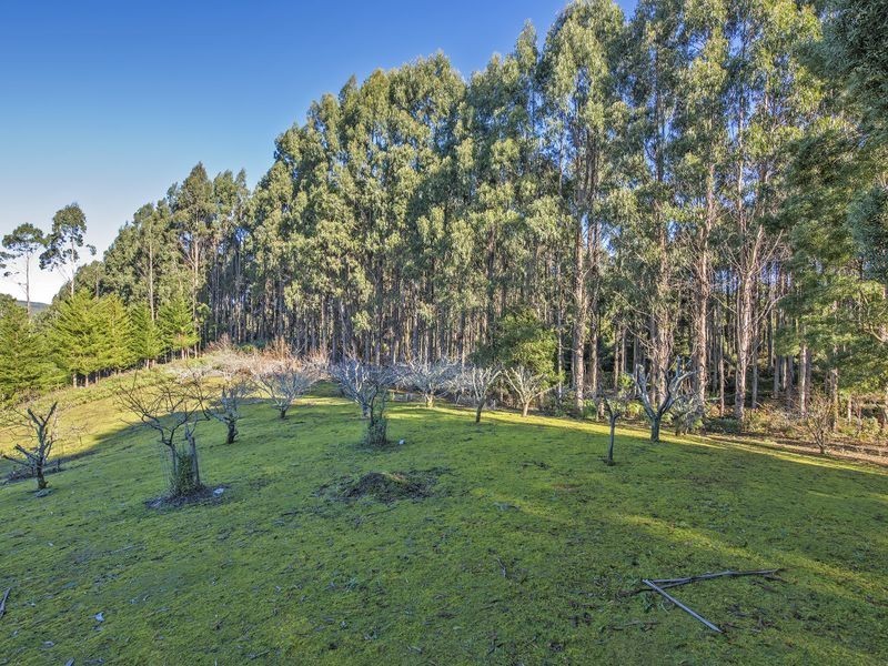 2333 Preolenna Road, Preolenna TAS 7325