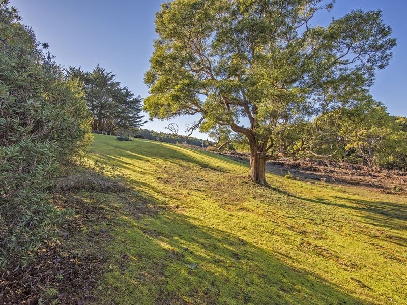 2333 Preolenna Road, Preolenna TAS 7325