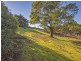 Wynyard TAS 7325