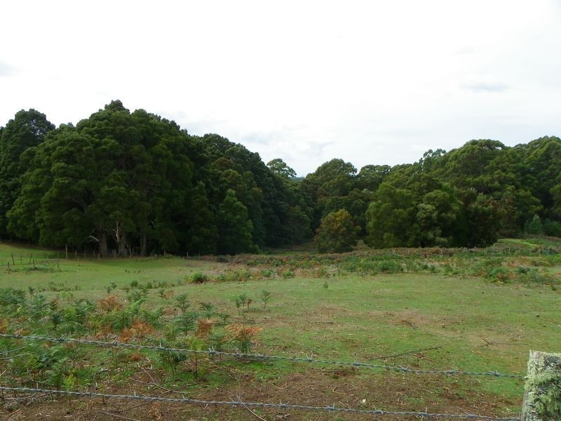 109 Beatties Road, Lapoinya TAS 7325