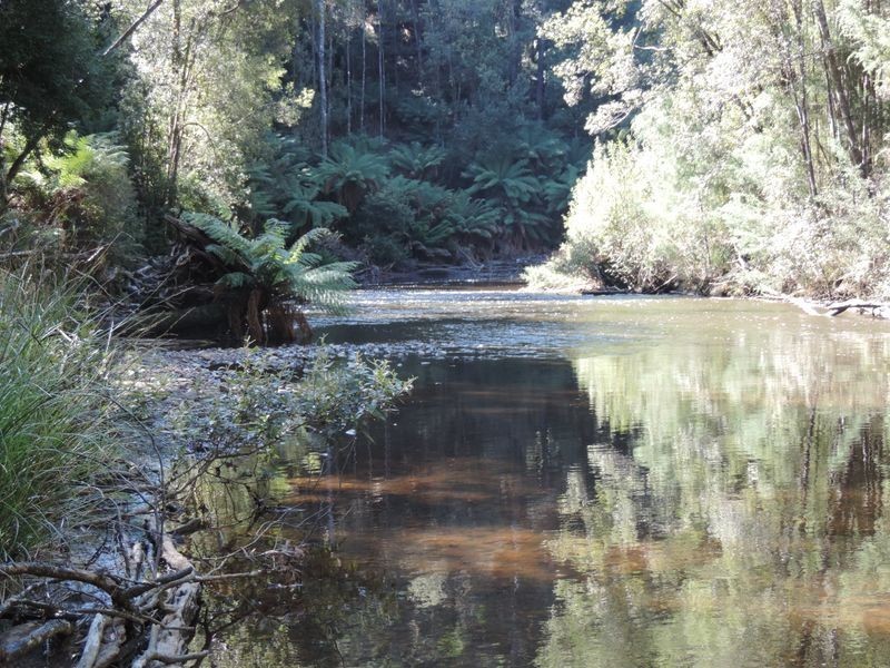 109 Beatties Road, Lapoinya TAS 7325