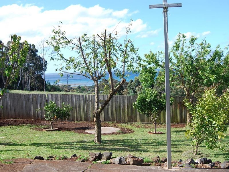 93 Pelissier Street, Somerset TAS 7322